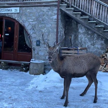 Schody Do Nieba Daire Zakopane Dış mekan fotoğraf