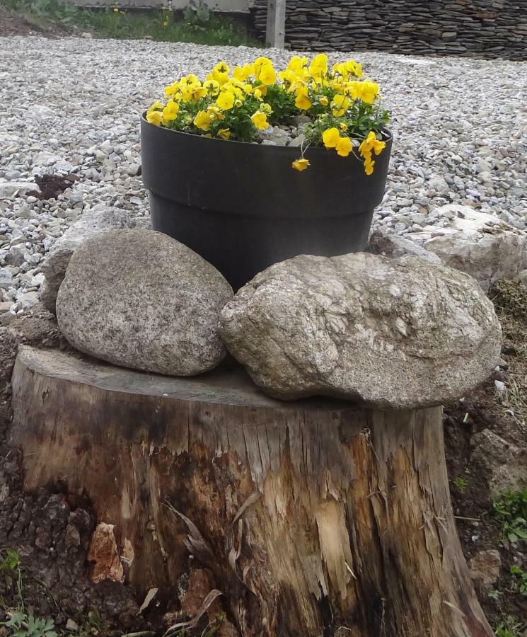 Schody Do Nieba Daire Zakopane Dış mekan fotoğraf