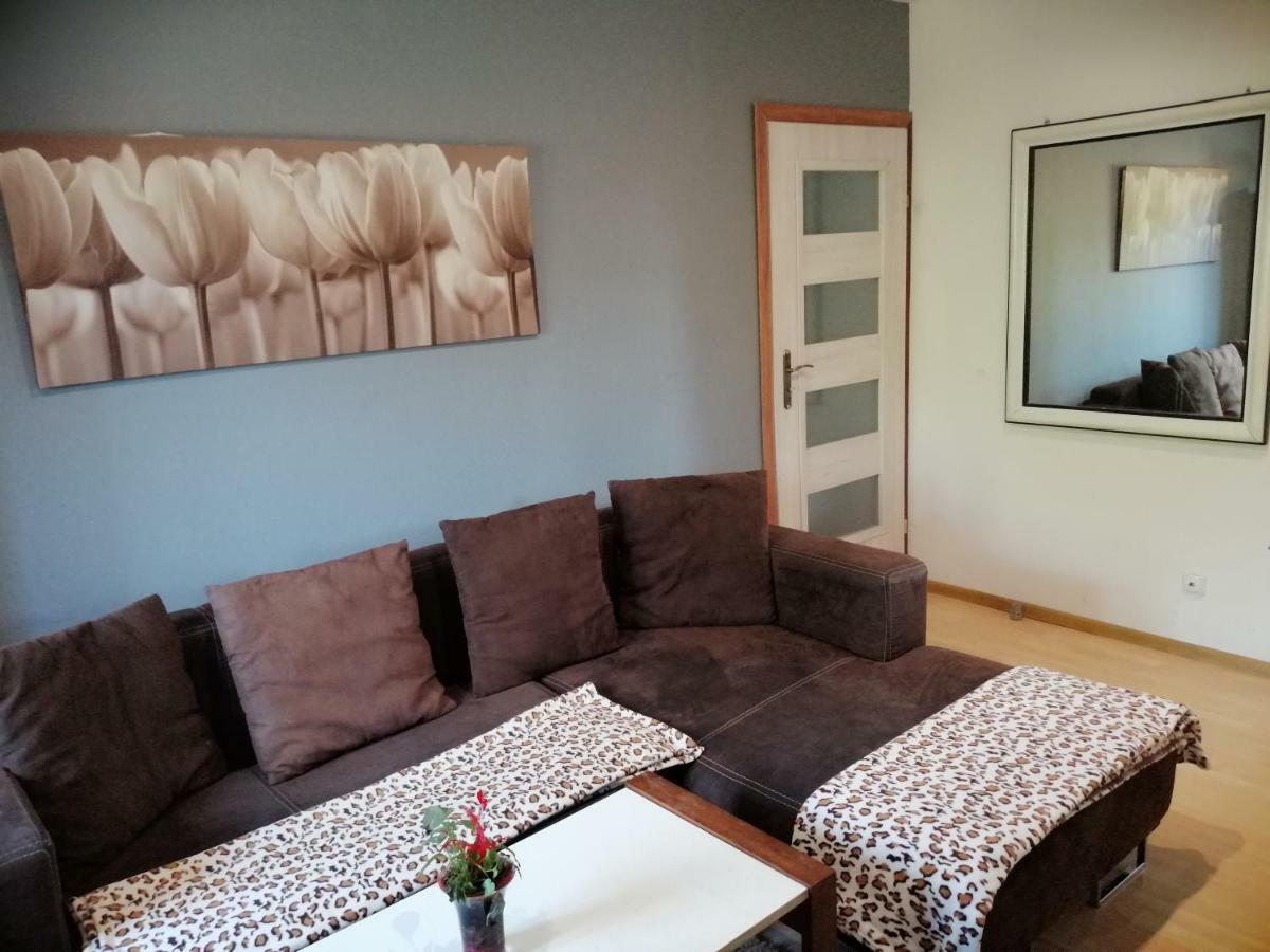 Schody Do Nieba Daire Zakopane Dış mekan fotoğraf